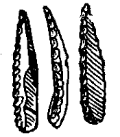 Изделия раннеориньякского типа (Западная Европа): острия различных видов