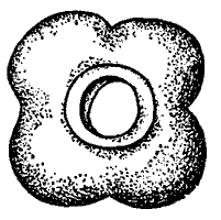 Ранненеолитические предметы IV тысячелетия до н. э. (из стоянки Игрень 8 на левом берегу Днепра и Мариупольского могильника близ города Жданова): каменная булава.