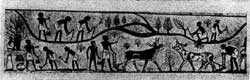 Сцены земледельческих работ. Роспись из гробницы в Фивах. XVIII династия.