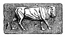 Раннеримский медный литой ас с изображением быка. IV в. до н. э.