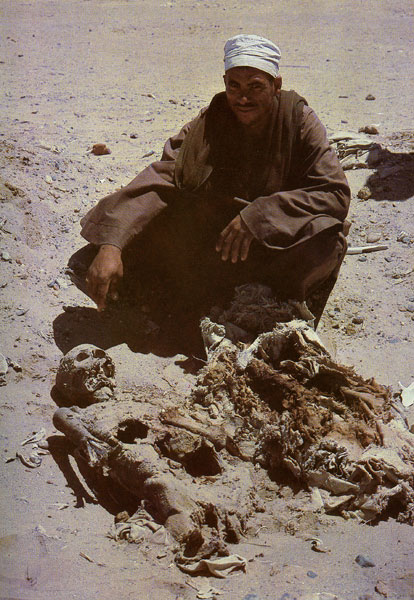 42. Кладбище Абу-Сир-эль-Мелека в 1978 г.