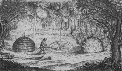 Выжигание угля. Рисунок середины XVII в.