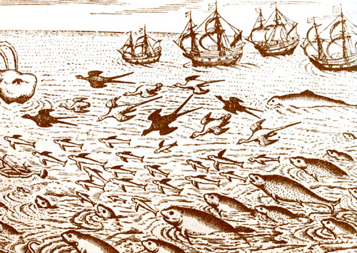Летучие рыбы и другие морские животные. Рисунок из мастерской де Бри (1600)