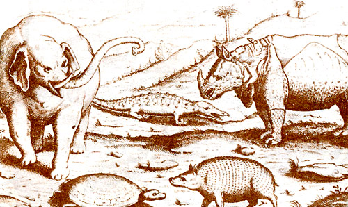 Чудеса Индии: слон, крокодил, носорог, бородавочник. Рисунок из мастерской де Бри (1600)